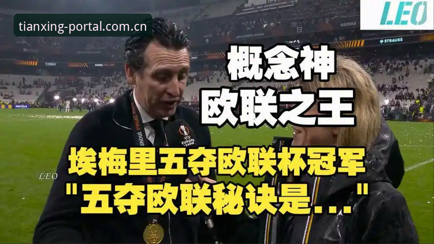 阿斯顿维拉欧联杯夺冠深度评测：30年冠军荒终结，埃梅里再创纪录解析